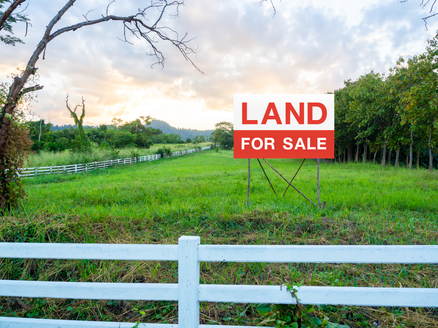 Selling Vacant Land